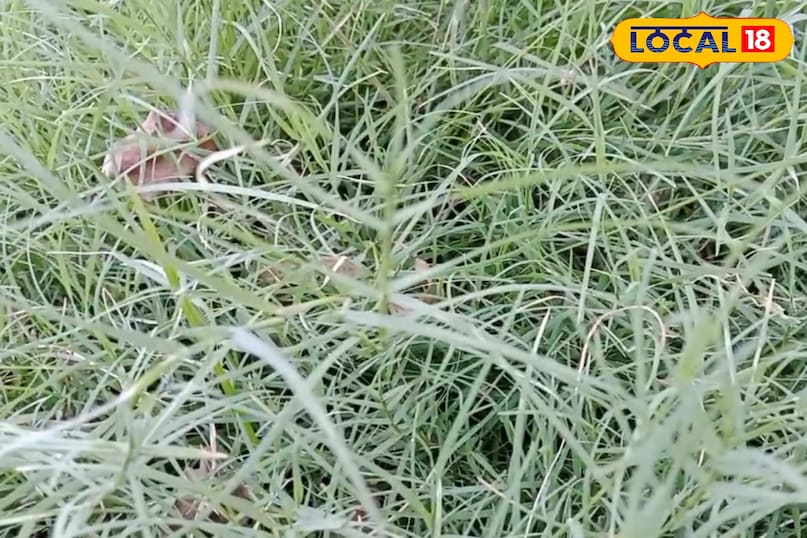 ধর্মীয় দৃষ্টিভঙ্গি ধর্মীয় দৃষ্টিভঙ্গি