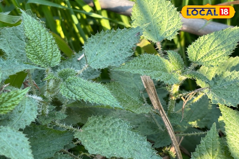 সতর্কতা এবং গুরুত্বপূর্ণ পরামর্শ সতর্কতা এবং গুরুত্বপূর্ণ পরামর্শ