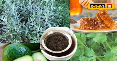 प्राकृतिक उपाय 