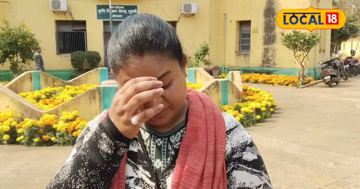 भीषण गर्मी के मौसम में गाय-भैंस नहीं होंगी बिमार, बस पशुपालकों को करना होगा ये काम, जानें एक्सपर्ट के टिप्स