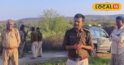 Sidhi news 25 villages lose power due to elephant movement, 35 forest department