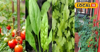 होम गार्डनिंग टिप्स 