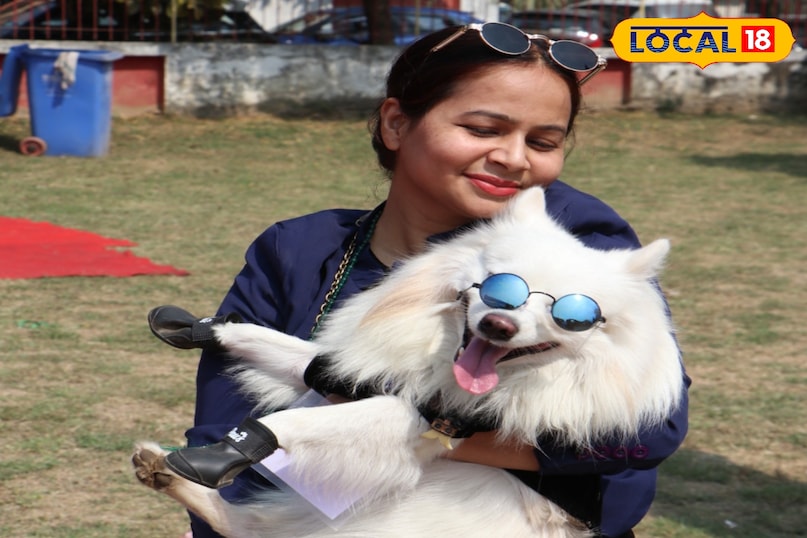 dog show patna, patna dog exhibition, bihar animal sciences university dog show, alabai dog winner patna, husky dog show patna, pomeranian dog patna event, chow chow dog show, english bulldog patna, dog competition patna news, pet show bihar, dog show 2026 patna, पटना डॉग शो, पटना डॉग प्रदर्शनी, बिहार डॉग प्रतियोगिता, अलाबाई डॉग विजेता, पटना पेट शो, हस्की डॉग पटना, पोमेरेनियन डॉग शो, चाव चाव डॉग इवेंट, बुलडॉग शो पटना, पटना डॉग लवर्स इवेंट, डॉग शो 2026 पटना 