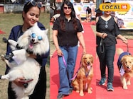 कौन सा डॉग बना चैंपियन? ब्लू चश्मा में पहुंचा कोको, गब्बर और हंटर ने जीता दिल कौन सा डॉग बना चैंपियन? ब्लू चश्मा में पहुंचा कोको, गब्बर और हंटर ने जीता दिल