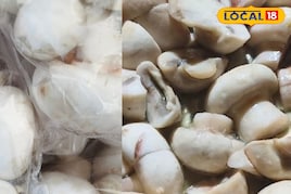 वजन घटाना है या इम्युनिटी बढ़ानी है? रोज खाएं ये सफेद चमत्कारी फूड