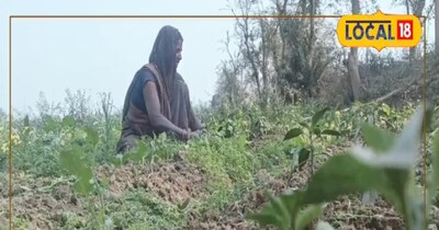 खेती करते हुए सुनील देवी