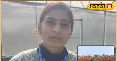 वैज्ञानिक ने दी जानकारी 