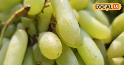 अंगूर खाने से पहले सही तरीके से धोएं, तभी मिलेगा पूरा सेहत का फायदा.