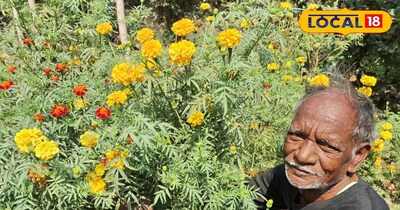 गेंदा की बाजारों में रहती है हमेशा डिमांड