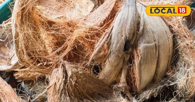 नारियल का छिलका 