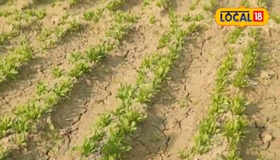 एक ही खेत में डबल फसल लगाकर करते हैं तगड़ा कमाई 