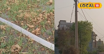 किसानों की बल्ले बल्ले!