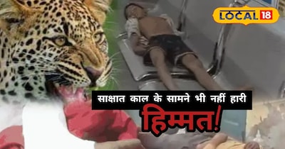 पाली लेपर्ड अटैक