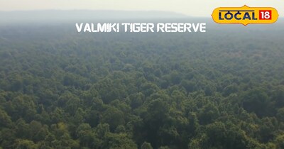 Valmiki Tiger Reserve: Bihar's Kashmir, A Biodiversity Hotspot with 60+ Mammals, 300+ Birds