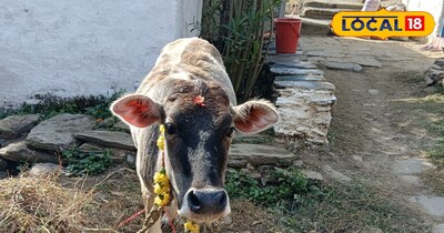 पहाड़ों में जानवरों के देवता