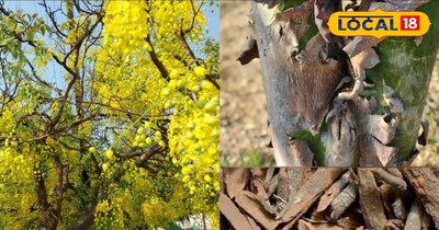 प्राकृतिक उपाय 