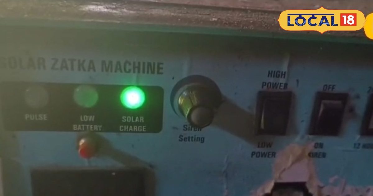 लखीमपुर खीरी के किसानों ने झटका मशीन से आवारा जानवरों से बचाई फसल, जाने कैसे