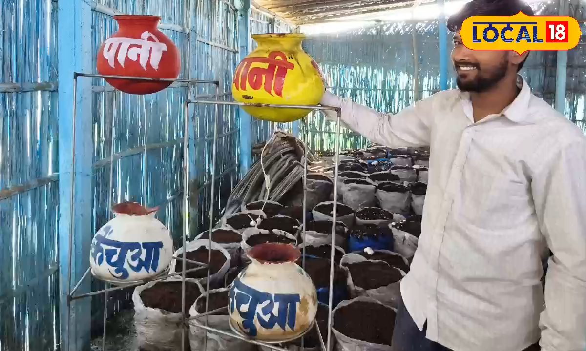 घर पर तैयार करें वर्मी वॉश स्प्रे, घटेगी किसानी की लागत, तैयार होगा बिना केमिकल वाला अनाज