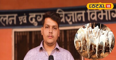 सोजत बकरी की कई खासियत 