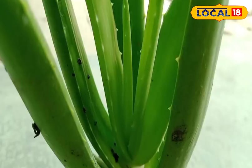 Natural Hydration Natural Hydration