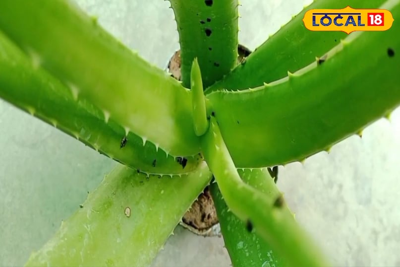 hair strength hair strength