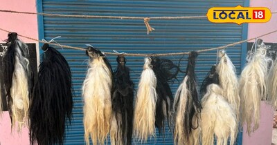 चंवरी गाय की पूछ से बनने वाली चंवर 