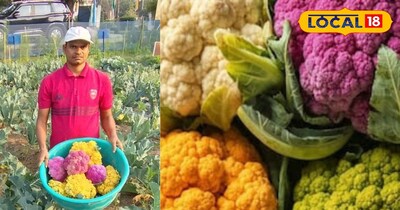 प्रतीकात्मक तस्वीर 