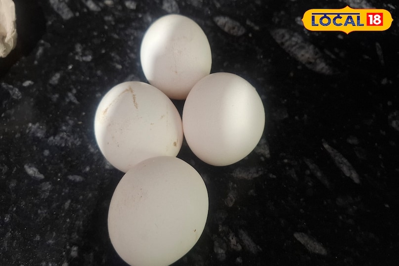 সালমোনেলা সংক্রমণ