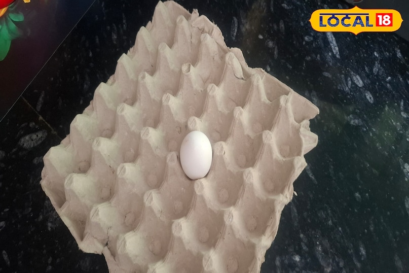 এলার্জি 