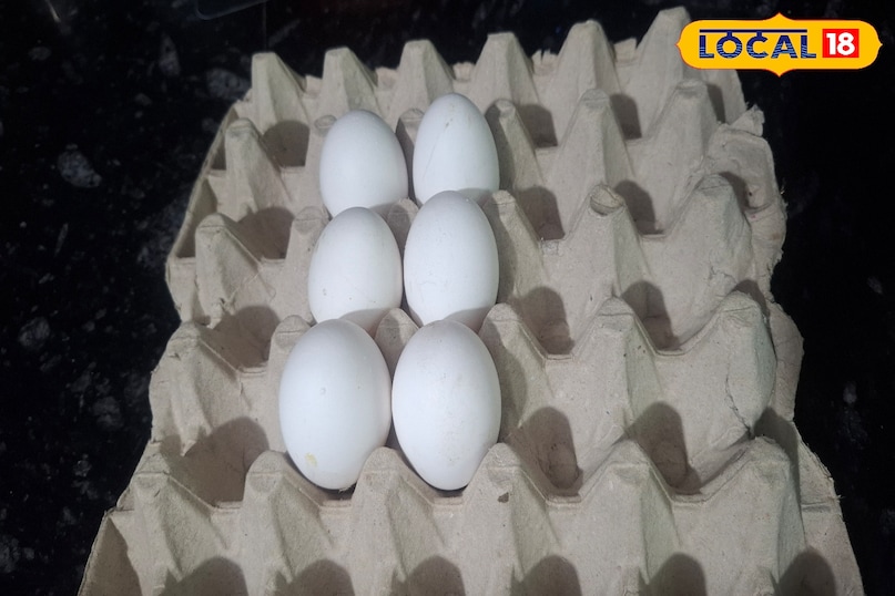 স্থূলতা 