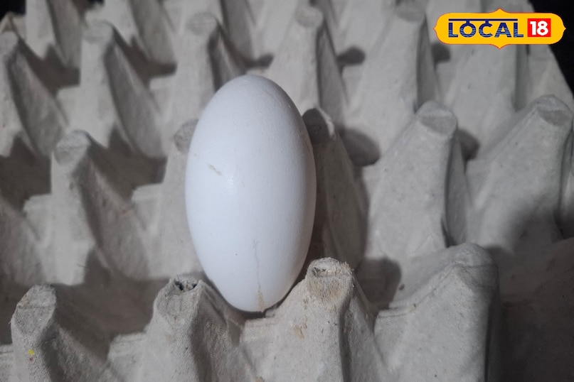 উচ্চ কোলেস্টেরল 