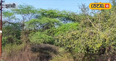 वन विभाग की पहल