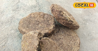गोबर से बनाएं देसी फर्टिलाइजर