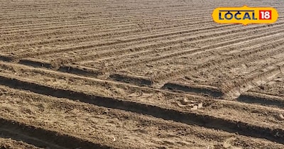 मिट्टी की सेहत सुधारें 