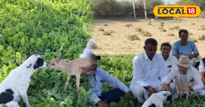 Arwa-Dungri Border News