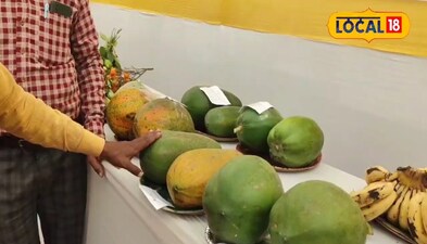 जैविक विधि से होता है सारण के धरती पर तालिबानी पपीता की खेती