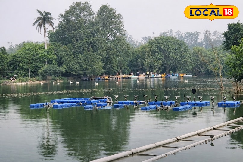 यह तिलीयर झील भी दिल्ली से करीबन 70 से 80 किलोमीटर दूर है और कहा जाता है कि यह दिल्ली के आसपास और दिल्ली-एनसीआर के इलाके में आने वाली सबसे खूबसूरत झील है. अक्सर लोग होली पर यहां पिकनिक मनाने जाते हैं और इस झील के पानी का भी आनंद लेते हैं. यह तिलीयर झील भी दिल्ली से करीबन 70 से 80 किलोमीटर दूर है और कहा जाता है कि यह दिल्ली के आसपास और दिल्ली-एनसीआर के इलाके में आने वाली सबसे खूबसूरत झील है. अक्सर लोग होली पर यहां पिकनिक मनाने जाते हैं और इस झील के पानी का भी आनंद लेते हैं.