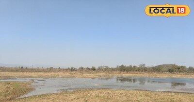 Discover Gondpur's Bara Talab: Jamshedpur's Hidden Picnic Gem 40km Away