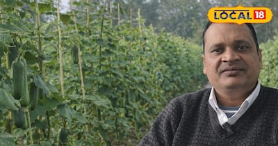 वैज्ञानिक ने दी जानकारी