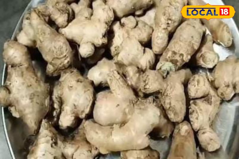 মোরাদাবাদের খবর, হিন্দি খবর, স্থানীয় খবর, আপ নিউজ, মোরাদাবাদের খবর, হিন্দি খবর, স্থানীয় খবর, ইউপি খবর।