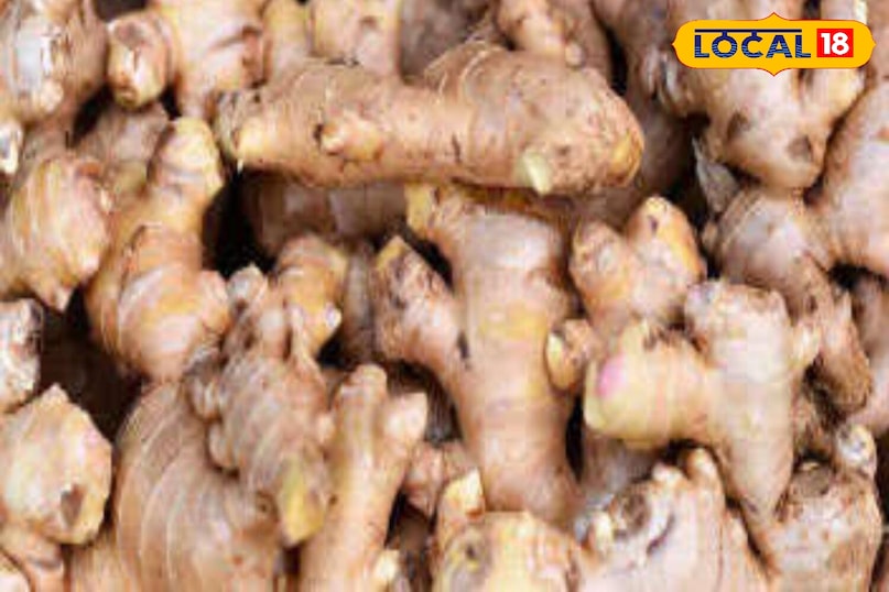 মোরাদাবাদের খবর, হিন্দি খবর, স্থানীয় খবর, আপ নিউজ, মোরাদাবাদের খবর, হিন্দি খবর, স্থানীয় খবর, ইউপি খবর।