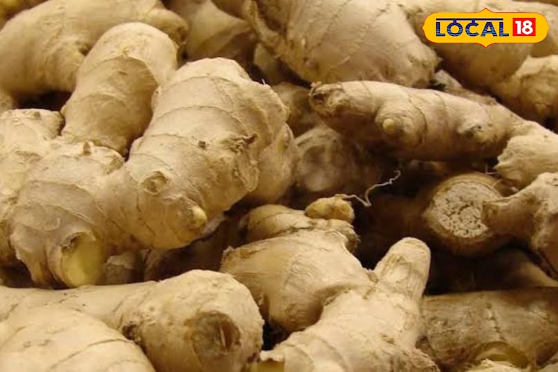 মোরাদাবাদের খবর, হিন্দি খবর, স্থানীয় খবর, আপ নিউজ, মোরাদাবাদের খবর, হিন্দি খবর, স্থানীয় খবর, ইউপি খবর।