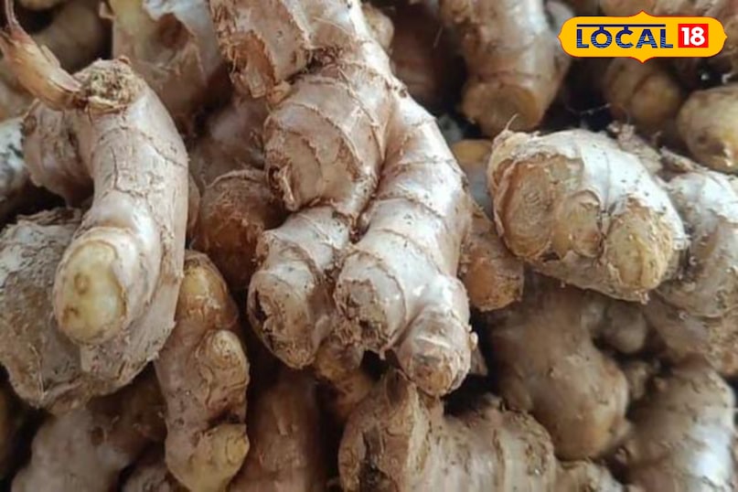 মোরাদাবাদের খবর, হিন্দি খবর, স্থানীয় খবর, আপ নিউজ, মোরাদাবাদের খবর, হিন্দি খবর, স্থানীয় খবর, ইউপি খবর।