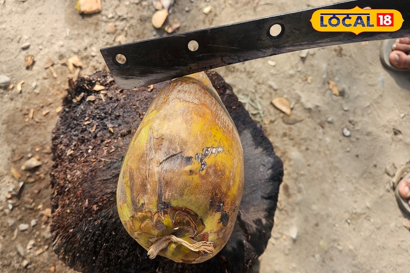 খালি পেটে নারকেল জল 