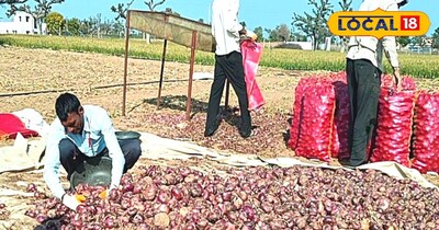 सर्दी के सीजन में हुई थी बुवाई