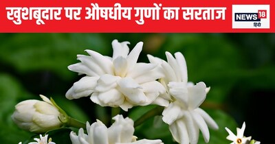 हरसिंगार के फायदे. 