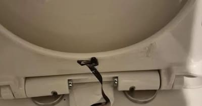 सांकेतिक तस्वीर