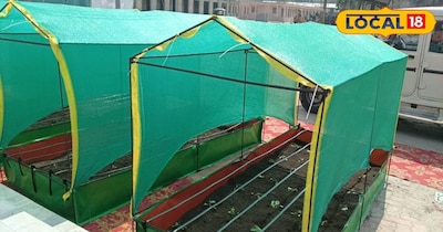 इस योजना का मुख्य उद्देश्य शहरों में फलों, फूलों और सब्जियों की जैविक खेती को बढ़ावा देना है. यह पर्यावरण संरक्षण, प्रदूषण कम करने और शहर में ताजी हवा, फल और सब्जियां उपलब्ध कराने में मदद करेगा. इसके जरिए आप अपने घर पर आसानी से सरकार की तरफ से सब्सिडी लेकर बागवानी कर घर की ताजा फल और सब्जियां खा सकते हैं.