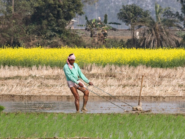 सबसे बड़ी टेंशन दूर, सरकार ने किसानों को दी राहत, ट्रेड डील में मनवा ली बात