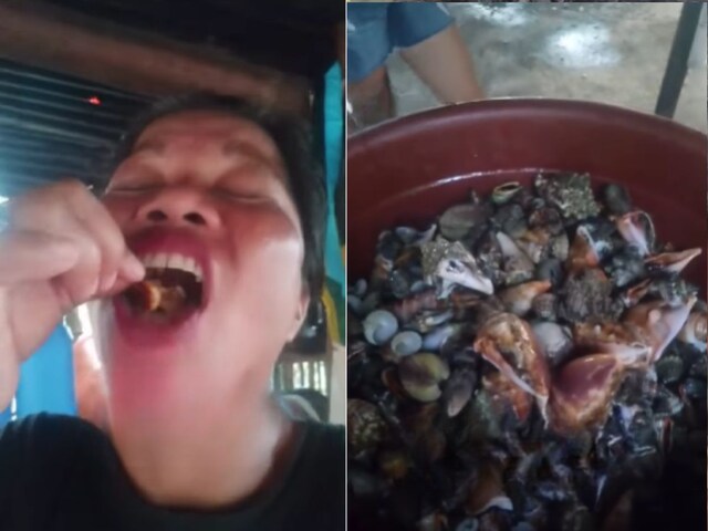 Influencer took risk, ate colorful crab for a few views...